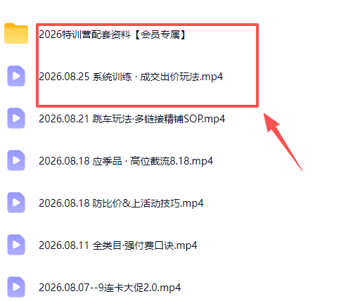 拼多多实战特训营(更新26年0827-只做优质可落地项目