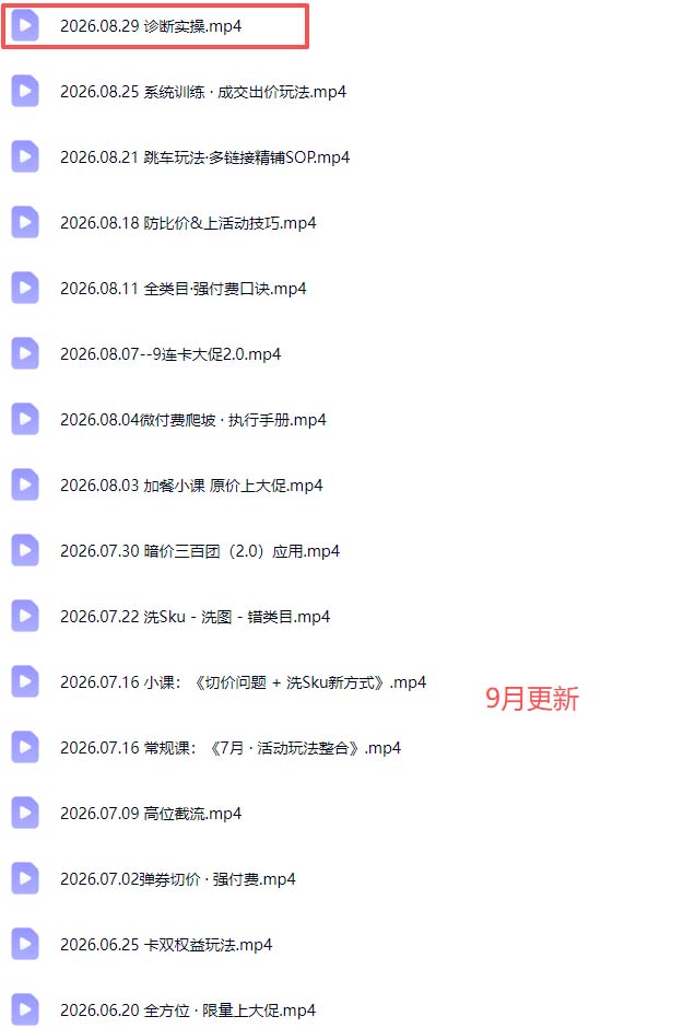 拼多多实战特训营(更新26年0831-只做优质可落地项目