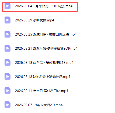 拼多多实战特训营(更新26年9月-只做优质可落地项目