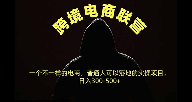 跨境电商联营,一个不一样的电商,普通人可操作日入300-500+-只做优质可落地项目