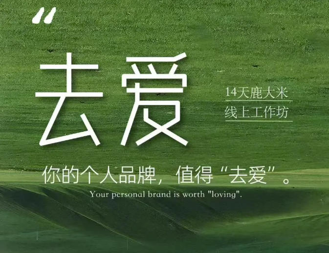 【精】去爱14天鹿大米线上工作坊 你的个人品牌 值得“去爱”-只做优质可落地项目